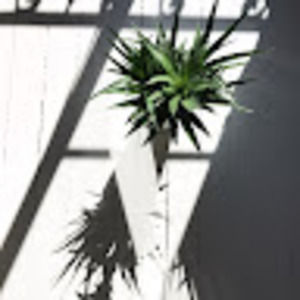 Meet your Posher, Marie-céline